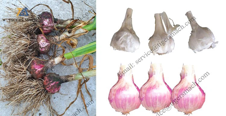 product-750-386 product-750-386