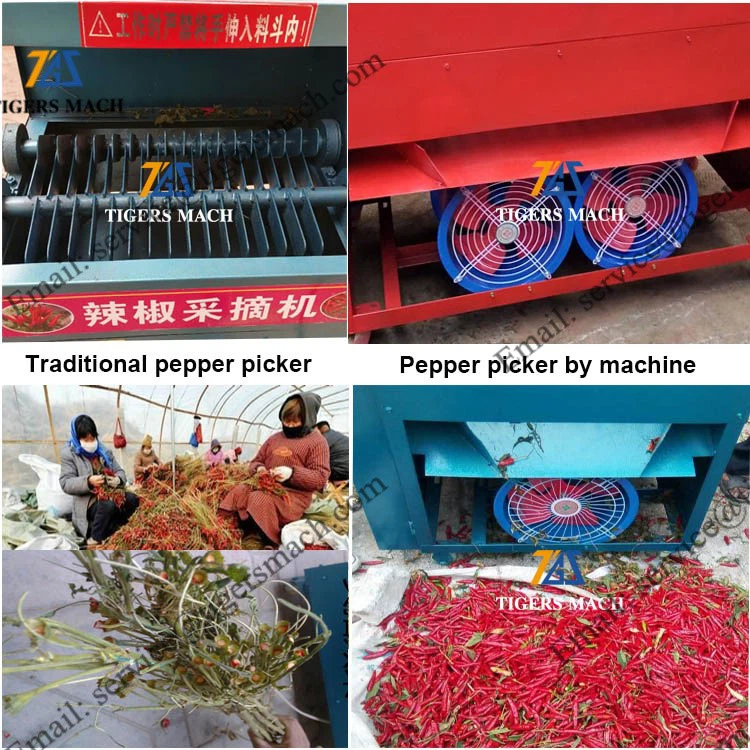 product-750-750 product-750-750