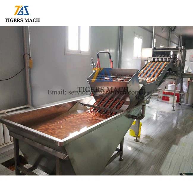 Automatic Egg Cracking Machinery