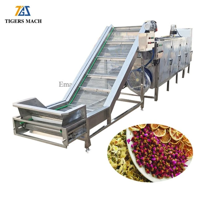 Fruit Dehydrating Machine